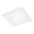 Briloner 7376-116 - LED Плафониера FRAMELESS LED/24W/230V