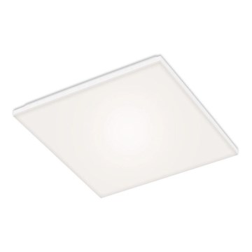 Briloner 7376-116 - LED Плафониера FRAMELESS LED/24W/230V