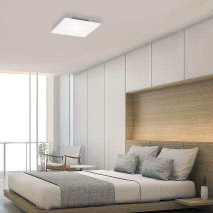 Briloner 7376-116 - LED Плафониера FRAMELESS LED/24W/230V