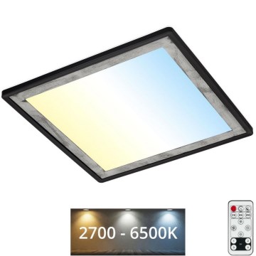 Briloner 7459-414 - LED Димируем плафон SLIM LED/22W/230V 2700-6500K + дистанционно управление