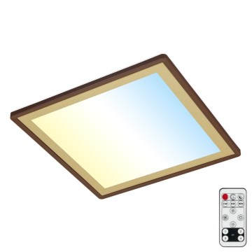 Briloner 7459-417 - LED Димируем плафон DECO LED/24W/230V 2700-6500K + дистанционно управление
