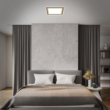 Briloner 7459-417 - LED Димируем плафон DECO LED/24W/230V 2700-6500K + дистанционно управление
