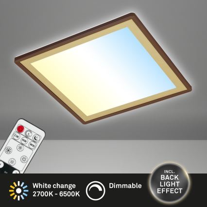 Briloner 7459-417 - LED Димируем плафон DECO LED/24W/230V 2700-6500K + дистанционно управление