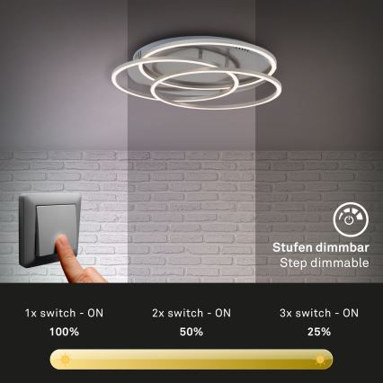 Briloner - LED Димируем плафон FRAMES LED/60W/230V матов хром