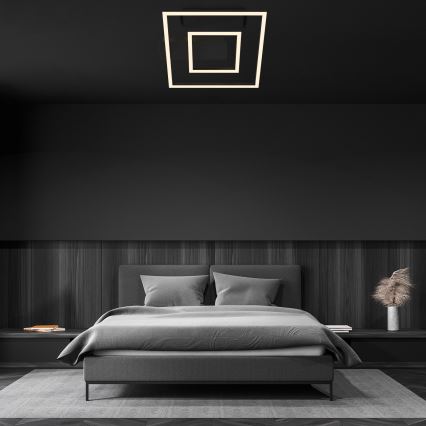 Briloner - LED плафон FRAME LED/22W/230V 3000K 30x32 cm черен