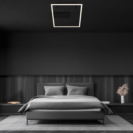 Briloner - LED таванно осветително тяло FRAME LED/14W/230V 3000K 30x32 cm черно