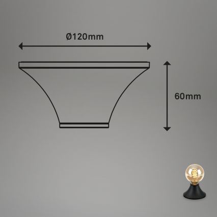 Briloner - Таванно осветително тяло за баня 1xE27/10W/230V IP44 черно