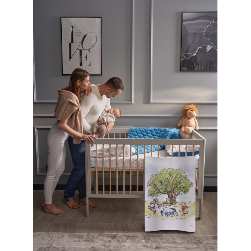 CebaBaby - Подложка за повиване двустранна COSY DISNEY 50x70 cм