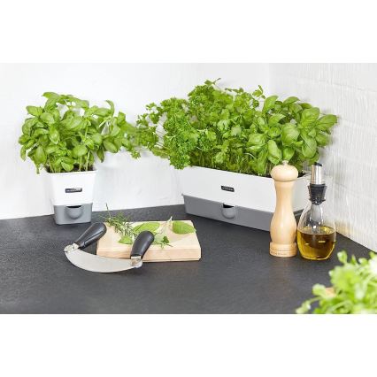 Cole&Mason - Мелничка за сол CAPSTAN BEECH бук 20 cm