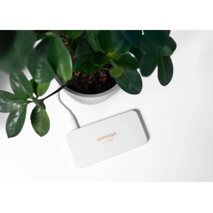 Concept KZ2010 - LED джобно козметично огледало PERFECT SKIN LED/1,5W/5V 4500-5500K 300 mAh бяло