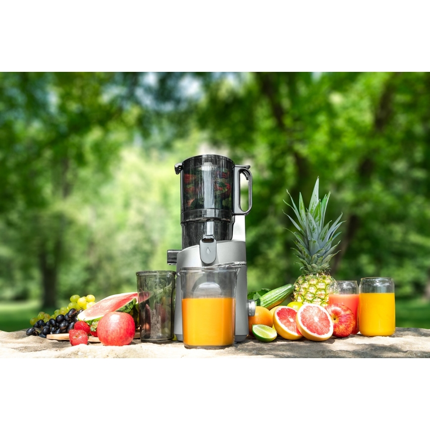 Concept LO7120 - Бавнооборотна сокоизстисквачка JUICY 250W/230V сив