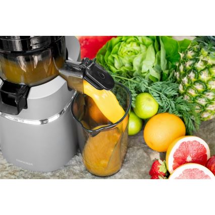 Concept LO7120 - Бавнооборотна сокоизстисквачка JUICY 250W/230V сив