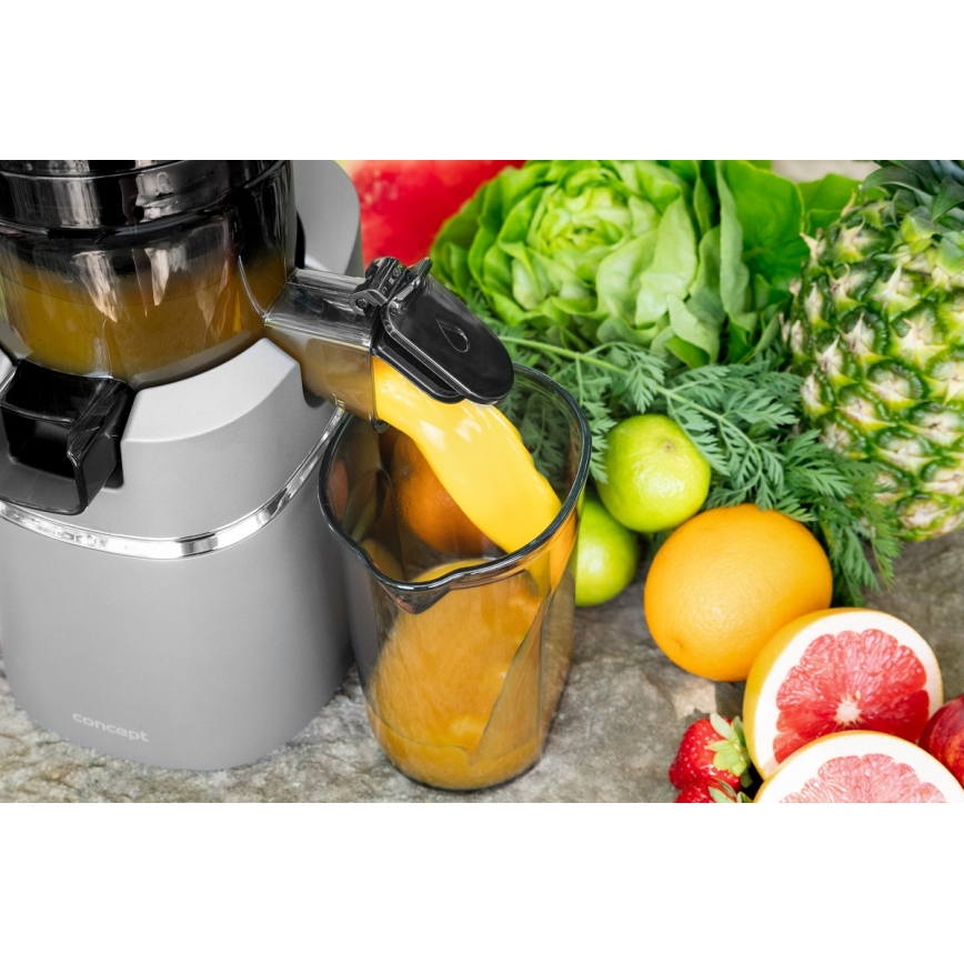 Concept LO7120 - Бавнооборотна сокоизстисквачка JUICY 250W/230V сив