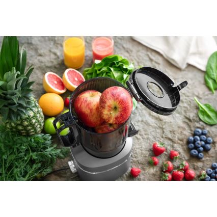 Concept LO7120 - Бавнооборотна сокоизстисквачка JUICY 250W/230V сив