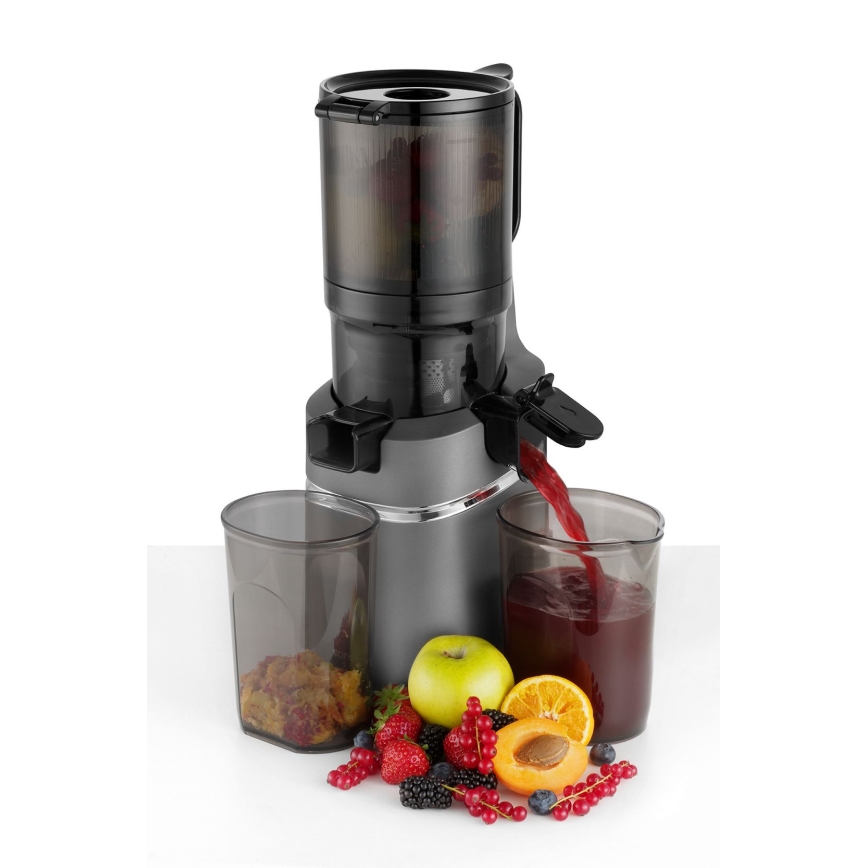 Concept LO7120 - Бавнооборотна сокоизстисквачка JUICY 250W/230V сив