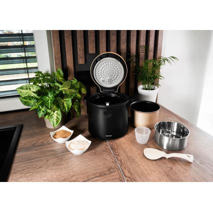Concept RE4040 - Дигитален оризовар 2 в 1 450 W / 230 V 2 л черен/дървесен декор