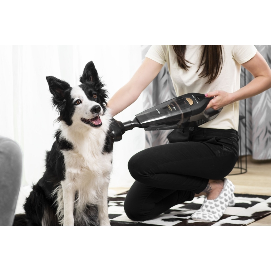 Concept VP4353 - Ръчен прахосмукачка WET & DRY с удължителна тръба 110W/18,5V 2200 mAh черен