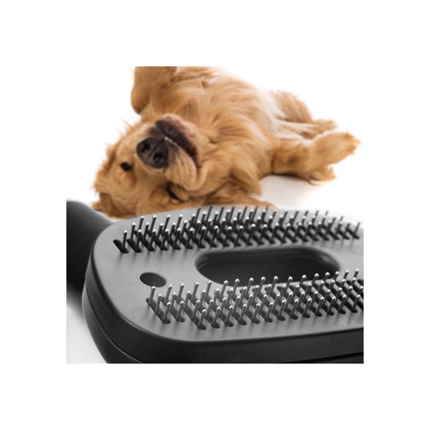 Concept VP5240N - Прахосмукачка без торбичка 4A RADICAL PET EXPERT 2,5 l 800W/230V бронзов