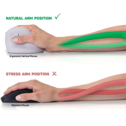 CONNECT IT CMO-2700-WH - Ергономична безжична мишка 800/1200/1600 DPI 1xAA бял