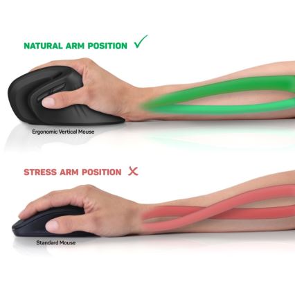 CONNECT IT CMO-2900-BK - Ергономична безжична мишка 800/1200/1600 DPI 1xAA черен