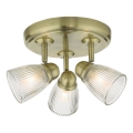 Där Lighting CED7675 - Точково осветително тяло за баня CEDRIC 3xG9/25W/230V IP44 месинг