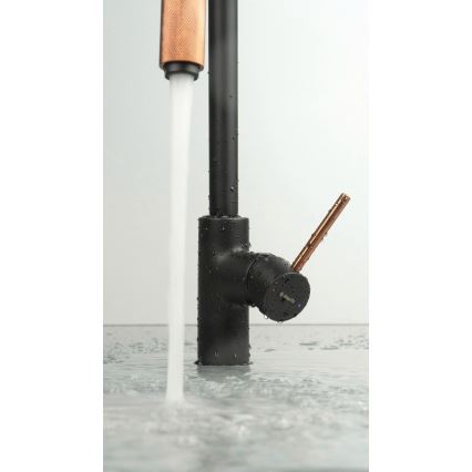 Deante BCA_B64M - Смесител за мивка ASTER черен/месинг