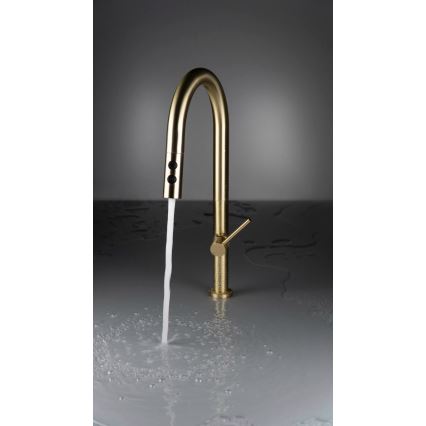 Deante BQO_R72M - Кран за мивка с издърпваща се пръскачка OLFATO матов златист