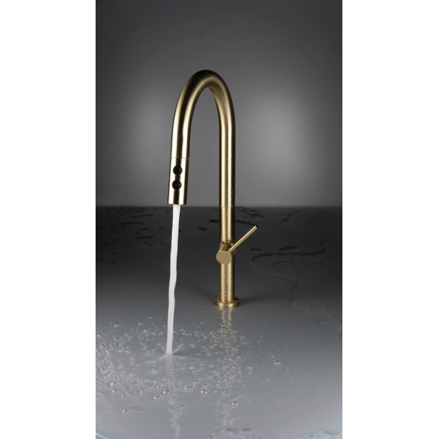 Deante BQO_R72M - Кран за мивка с издърпваща се пръскачка OLFATO матов златист