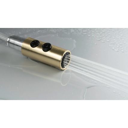 Deante BQO_R72M - Кран за мивка с издърпваща се пръскачка OLFATO матов златист