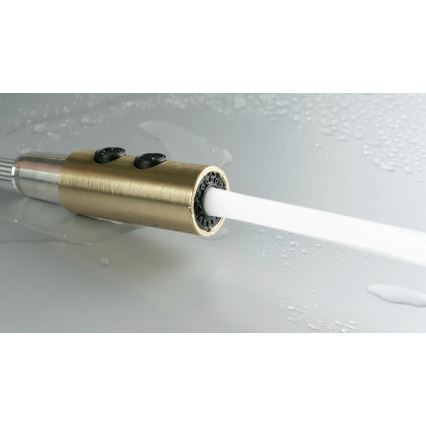 Deante BQO_R72M - Кран за мивка с издърпваща се пръскачка OLFATO матов златист