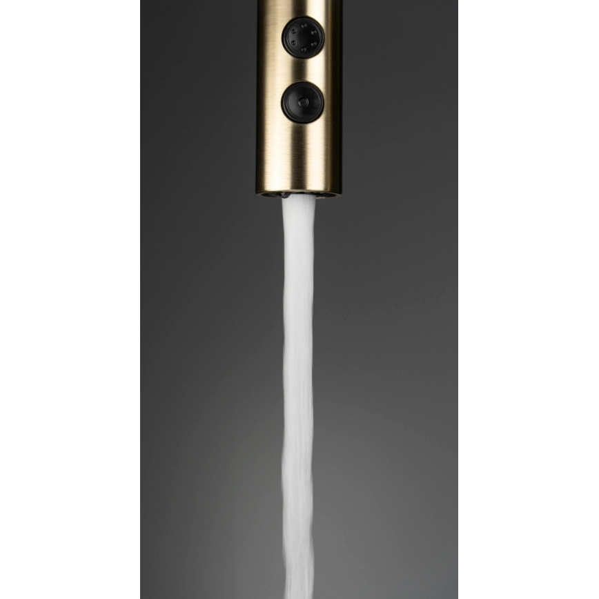 Deante BQO_R72M - Кран за мивка с издърпваща се пръскачка OLFATO матов златист