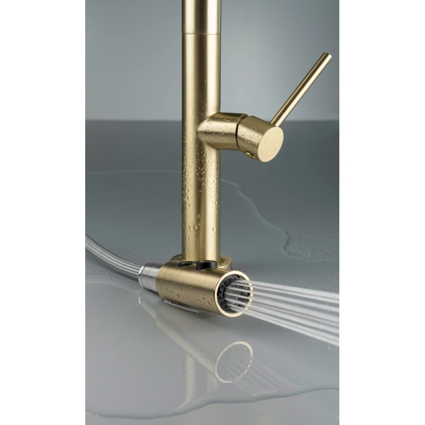 Deante BQO_R72M - Кран за мивка с издърпваща се пръскачка OLFATO матов златист