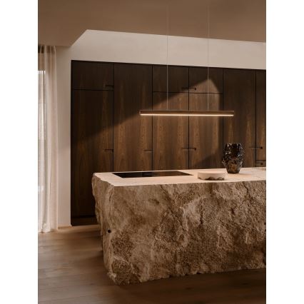 DFTP by Nordlux - LED полилей на кабел с възможност за димиране AKENO LED/25W/230V 3000K ясен