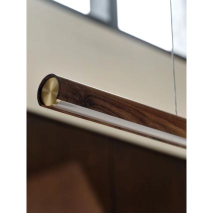 DFTP by Nordlux - LED полилей на кабел с възможност за димиране AKENO LED/25W/230V 3000K ясен