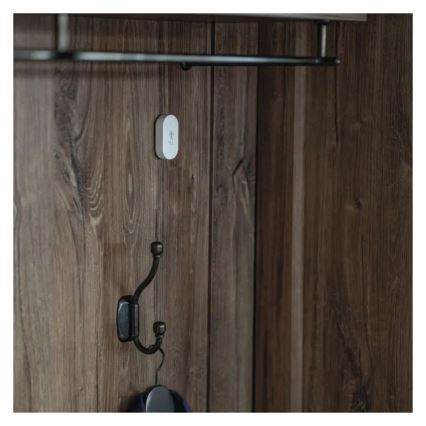 Дигитален безжичен термометър GoSmart 1×CR2032