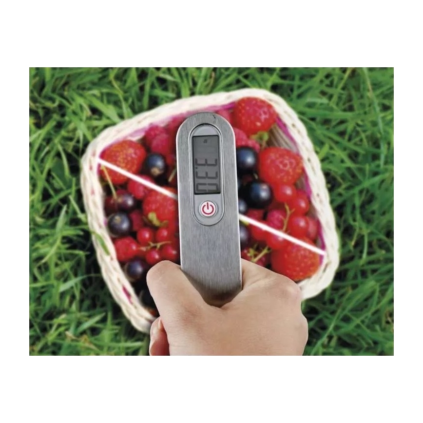 Дигитален кантар за окачване 1xCR2032