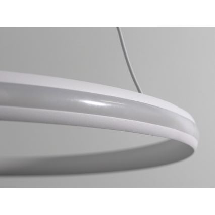 LED полилей на кабел с функция за димиране LED/55W/230V 3000-6500K Ø 60 см + дистанционно управление