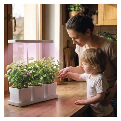 Димируема LED интериорна лампа за отглеждане на растения GROW LED/7W/5V