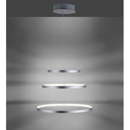 Leuchten Direkt 11526-55 - LED димируем полилей на кабел CIRCLE LED/13,5W/230V + LED/19,5W + LED/24W