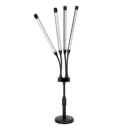 LED гъвкава настолна лампа с регулируема яркост за отглеждане на растения VITARO 4xLED/10W/230V черна