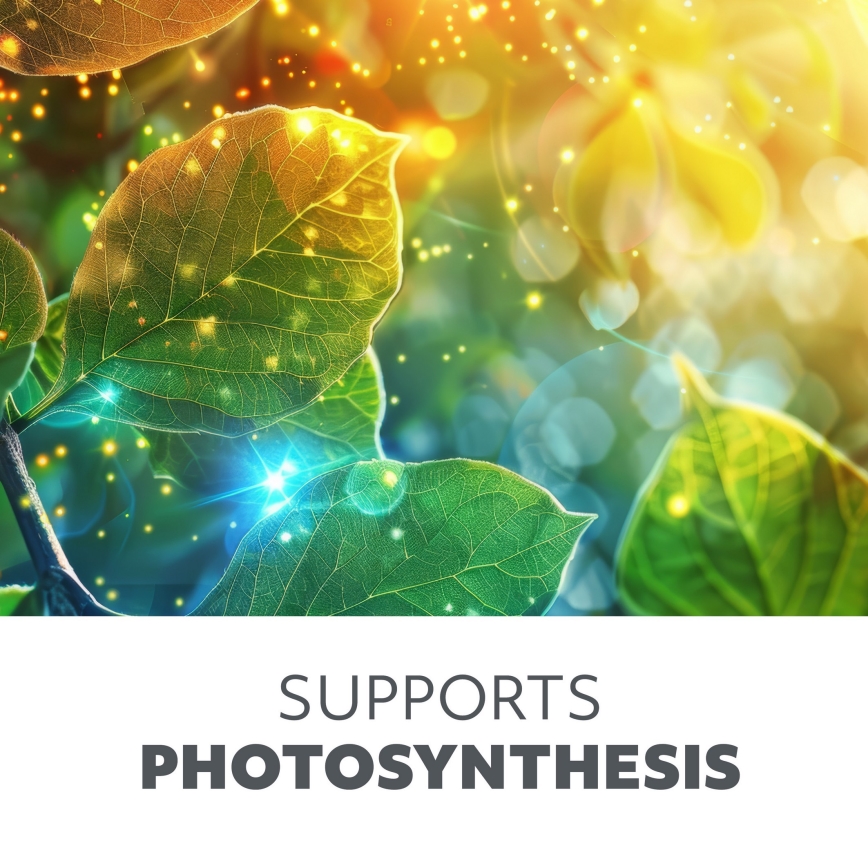 LED гъвкава настолна лампа с регулируема яркост за отглеждане на растения VITARO 4xLED/10W/230V черна