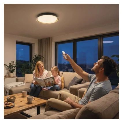 LED димируемо таванно осветително тяло ILVI LED/30W/230V 2700-6500K Ø 40 см, черно/месинг + дистанционно управление
