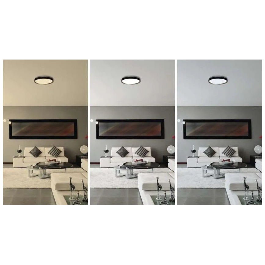 LED димируемо таванно осветително тяло ILVI LED/30W/230V 2700-6500K Ø 40 см, черно/месинг + дистанционно управление
