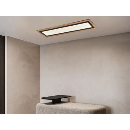 Димируемо таванно LED осветително тяло LED/55W/230V 3000-6500K + дистанционно управление