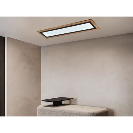 Димируемо таванно LED осветително тяло LED/55W/230V 3000-6500K + дистанционно управление
