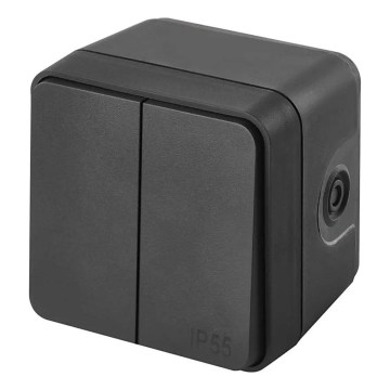 Домашен 2-клавишен превключвател, алтернативен, № 6+6, IP55, антрацит