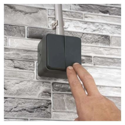 Домашен 2-клавишен превключвател, алтернативен, № 6+6, IP55, антрацит