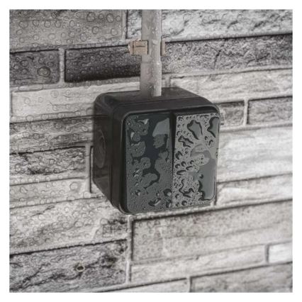 Домашен 2-клавишен превключвател, алтернативен, № 6+6, IP55, антрацит