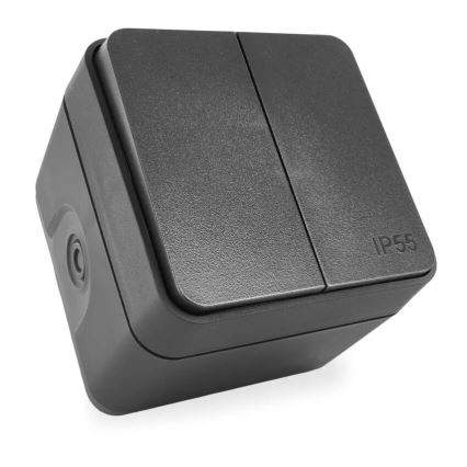 Домашен 2-клавишен превключвател, алтернативен, № 6+6, IP55, антрацит