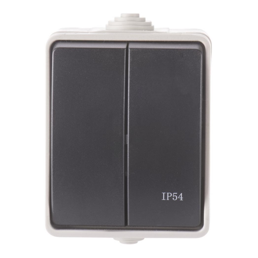 Домашен сериен превключвател 250V / 10A IP54